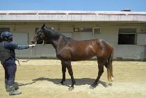 �����׷��� (BEOLGYO GRAMMY) ����