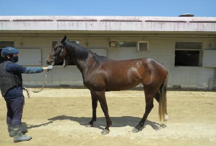 �����׷��� ����