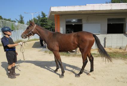 ����� ����