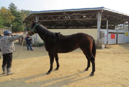 �׷���Ʈ�� ����