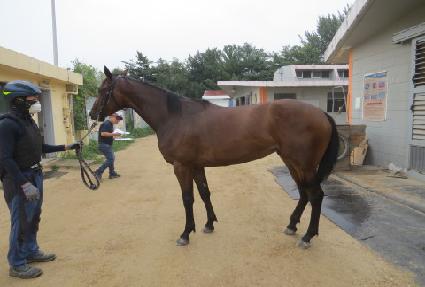 ������� ����