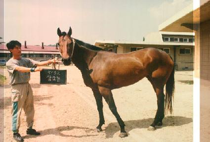 Ž���� ����