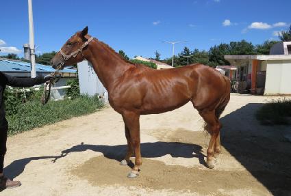 ������� ����