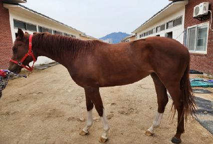 �����Ѿ�� ����