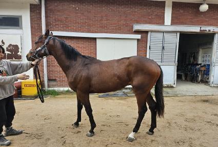 ��ġƮ�� ����