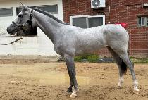 �Ϸ��� (ILLUSION) ����