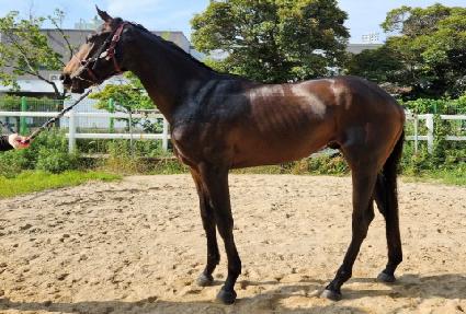 �������� ����