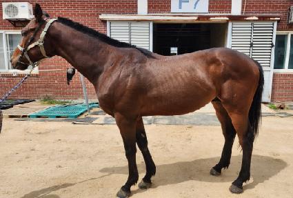 �ҵ��� ����