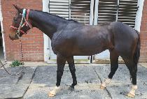 �������κ��� (OVER RAINBOW) ����