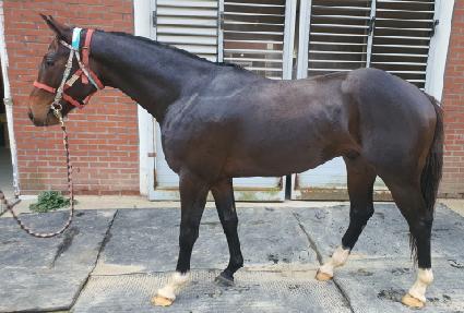 �������κ��� ����