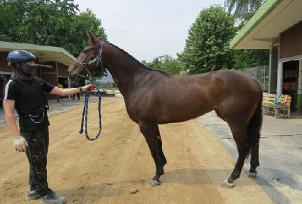 �����Ǹ��� ����