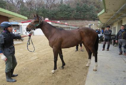 �Ѹ��𸻵� ����