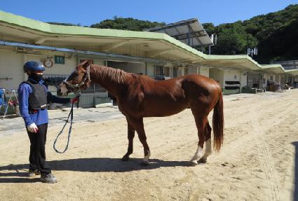 �����ī�� ����