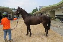 �����ڵ� (UPPERHAND) ����