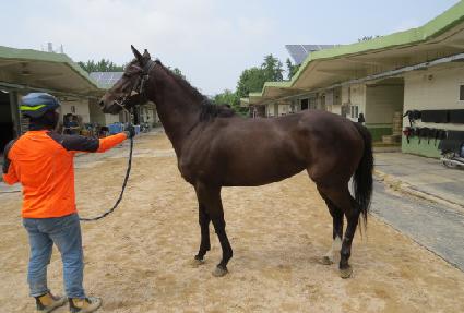 �����ڵ� ����