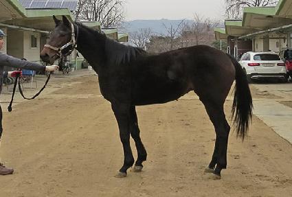 Ŀ�ǵ����� ����