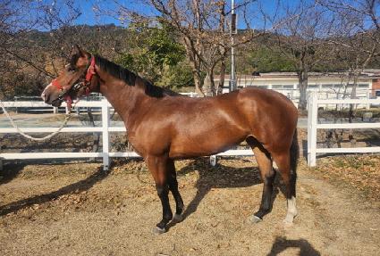 �Ѿ���ġ ����