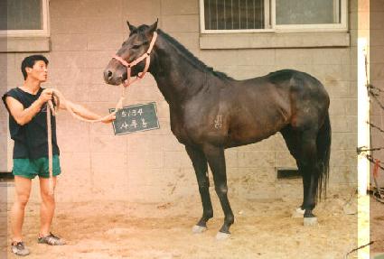 ������ ����