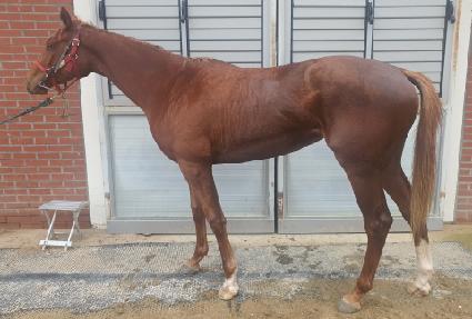 ����Ʈ�� ����