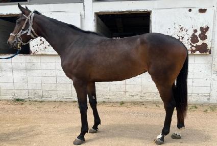 �ö��׸޴Ͻ� ����