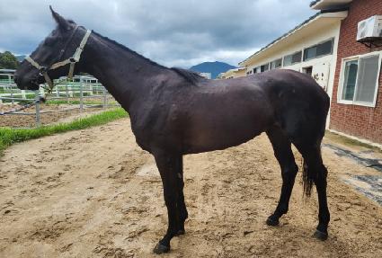 ��Ÿ���� ����