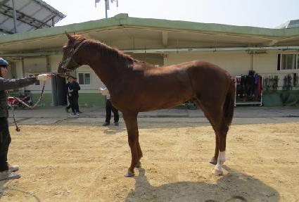 ��Ű���̸ӽ� ����