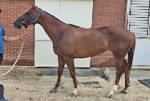 �þ�Ʋ�帲 (SEATTLE DREAM) ����