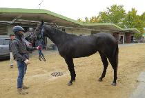 �мǽ�Ÿ (FASHION STAR) ����