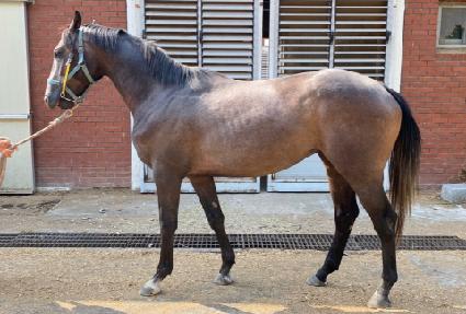 ������ ����