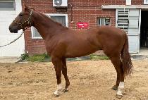 ���ͽ�Ƽ (DOCTOR CITY) ����