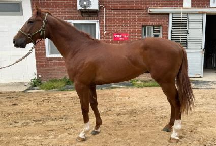 ���ͽ�Ƽ ����