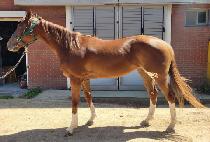 ����ī�� (DOCTOR KAREN) ����