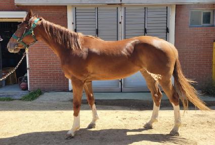 ����ī�� ����