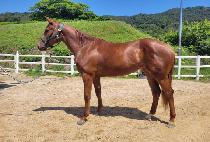 �������� (DOCTOR HAPPY) ����