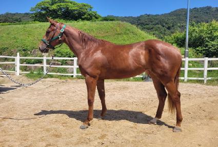 �������� ����