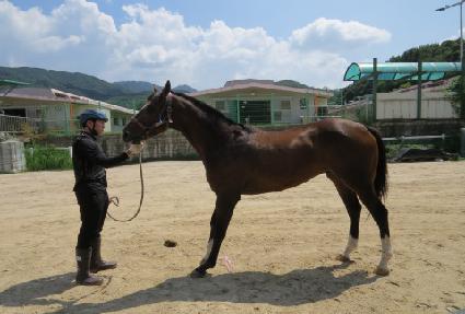 �������Ϸ� ����