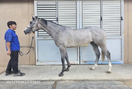 ����Ʈ�� ����