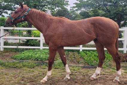 ����Ŭ���� ����