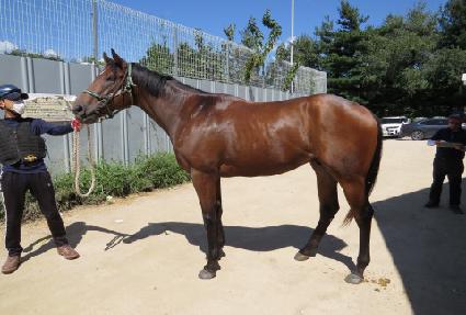 �ְ����ǵ� ����