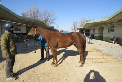 ���ν��Ǿ� ����