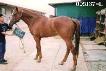 ȣ����� (HO-EUN-JANG-DAM) ����