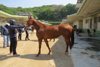 �����޸�Ʈ ����