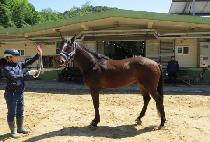 ������ũ (MORE THAN JOKE) ����