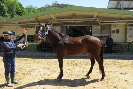 ������ũ ����