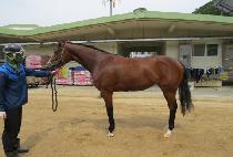 ��ġ����� (ACHIEVE SIGN) ����