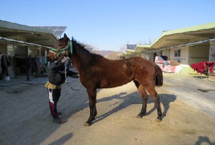 ��ǳ��� ����