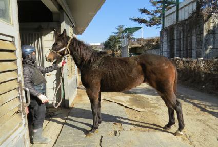 ��ǳ�Ƹ� ����