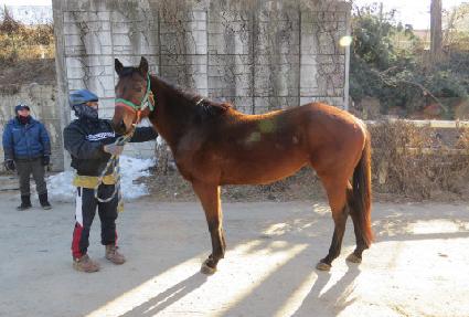 ��ǳ��Ʈ ����