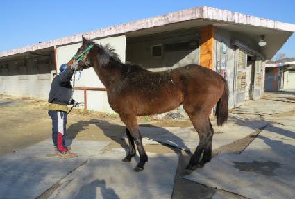 ��ǳ�ĵ� ����