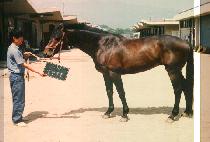 �ڿ����� (BA KYEON POK PO) ����